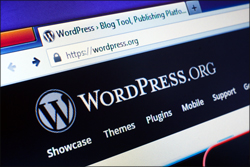 How To Update Your WordPress Installation In The WordPress Dashboard