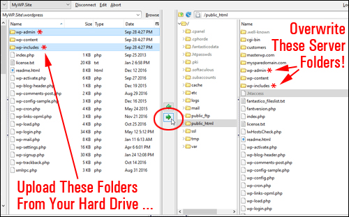 Overwrite WordPress folders on your server