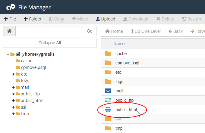 cPanel File Manager - public_html directory
