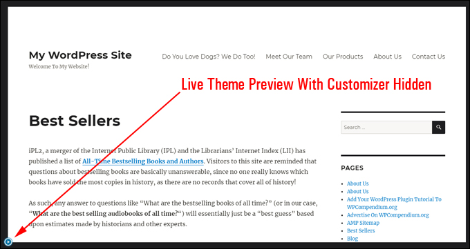 Live Preview With Theme Customizer Hidden