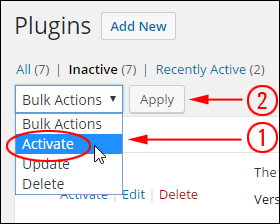 Bulk Actions Menu - Activate and Apply