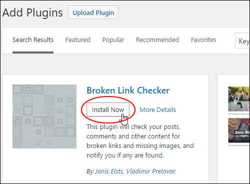 Install Broken Link Checker