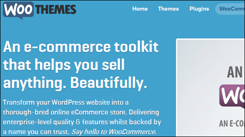 WooCommerce ecommerce plugin for WordPress