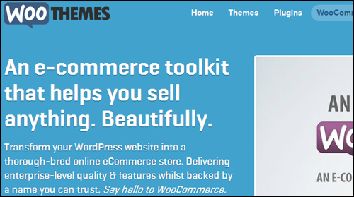 WooCommerce WP plugin