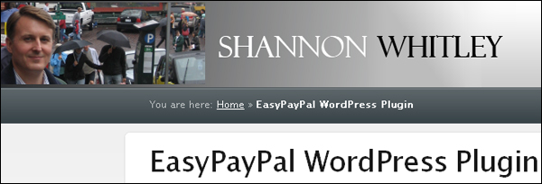EasyPayPal plugin for WordPress