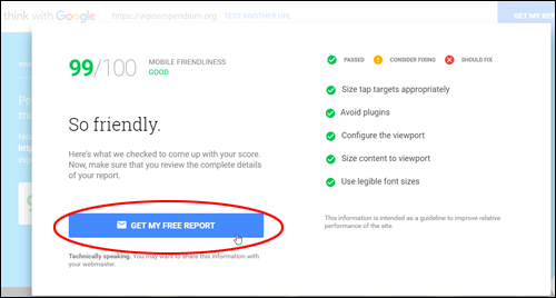 Google will email you a free report with your test results
