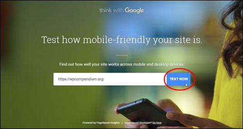 Test as as many sites as you like using Google's free tool