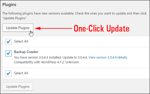 Update WordPress features with just one click!