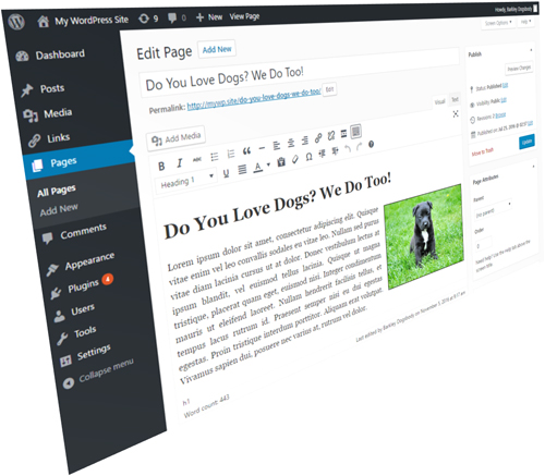 Learn how to easily publish all types of content using WordPress!