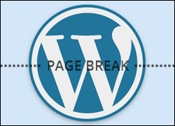 How To Split Long WordPress Posts Into Multiple Pages
