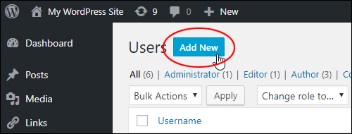 Add New Users Button
