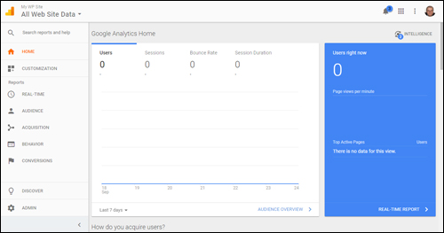 Allow 24-48 hours for Google Analytics data to show