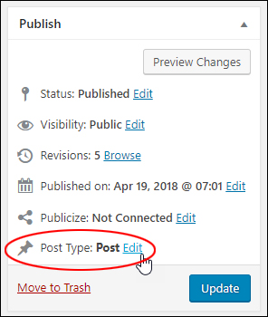Publish box - Post Type