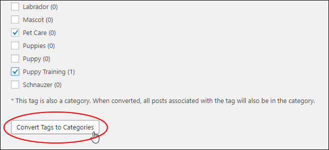 Click 'Convert Tags to Categories' button