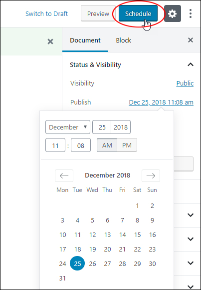 Schedule Posts/Pages For Publishing Later