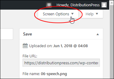 Screen Options tab