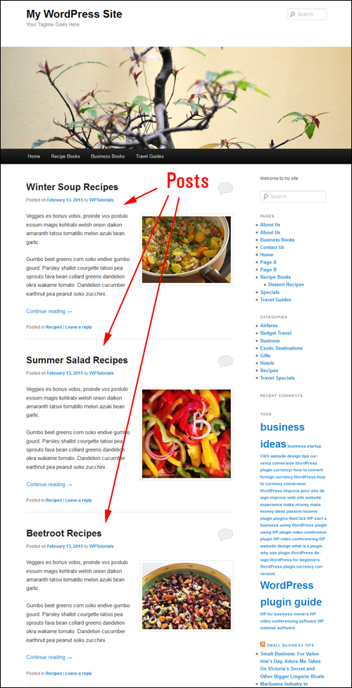 Step-By-Step Tutorial - Changing The Number Of Blog Post Entries Displayed On Your WP Blog Page