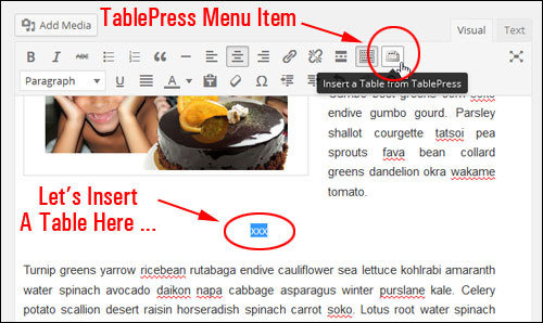 Creating And Inserting Tables Into Pages And Posts In WordPress