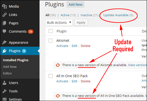 Upgrading And Deleting Plugins Inside The Dashboard