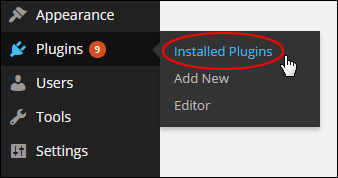 Upgrading And Deleting Plugins