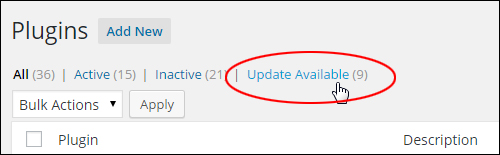 Updating And Deleting Plugins In Your WordPress Admin Dashboard