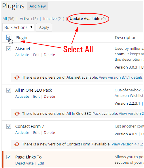 Upgrading And Deleting Plugins In The WP Dashboard