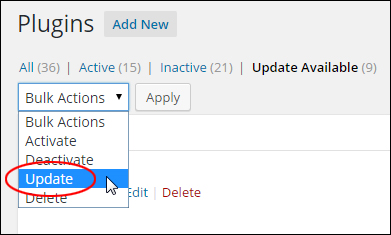 How To Automatically Upgrade And Delete Plugins Safely From Your WP Admin Dashboard