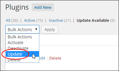 Updating And Deleting Plugins