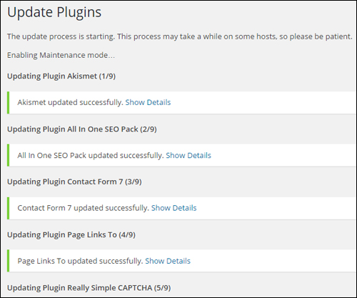 Updating And Deleting Plugins Safely In Your Dashboard