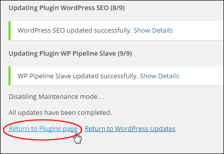 Updating And Deleting Plugins