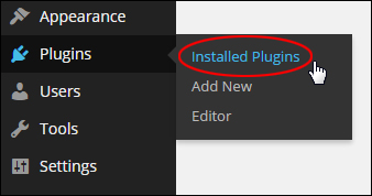 Upgrading And Deleting Plugins Inside The Dashboard
