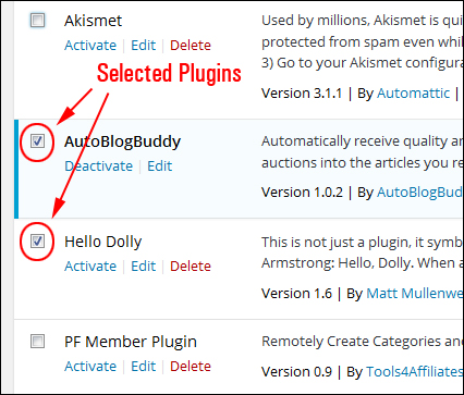 How To Update And Delete Plugins