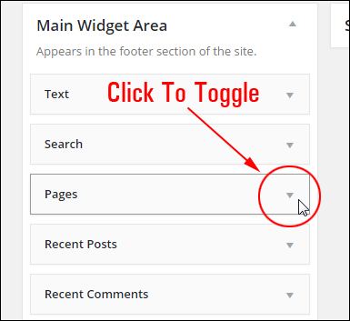 Toggling expands/collapse widget settings