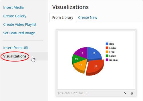 Visualizer Plugin For WordPress