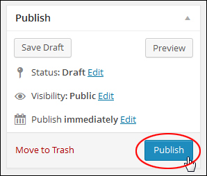 Publishing A WordPress Post