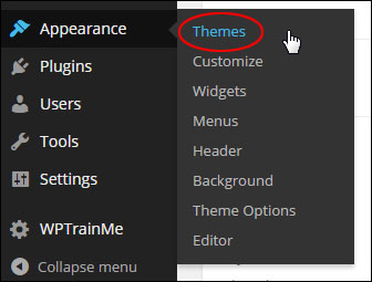 Updating Themes In WordPress