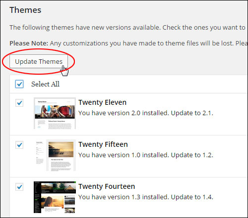 How To Update Your Themes