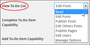 to do list plugin Cleverness - User Permissions Settings - View To-Do-List dropdown menu