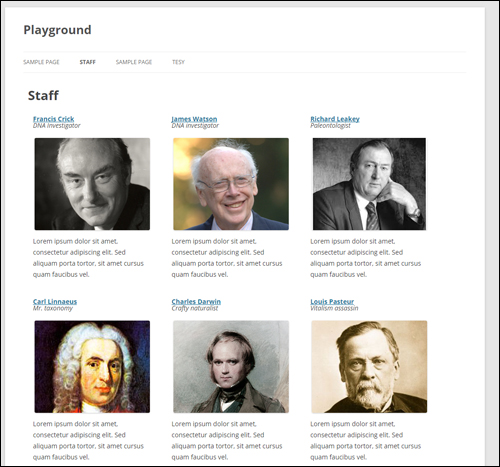 Staffer archive page