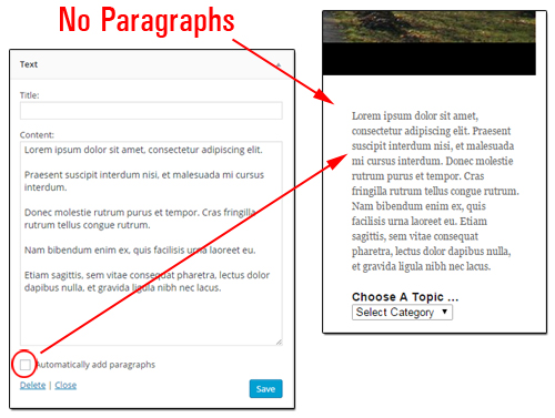 Automatically add paragraphs option not checked