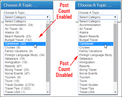 Category widget options - Post Count Enabled vs Post Count Disabled