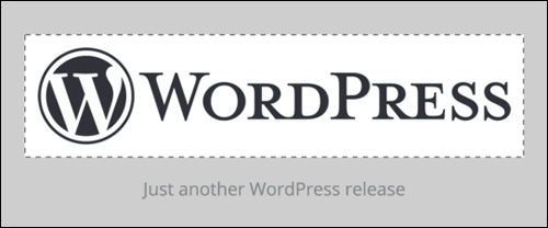 WordPress version 4.5 - Custom Logos